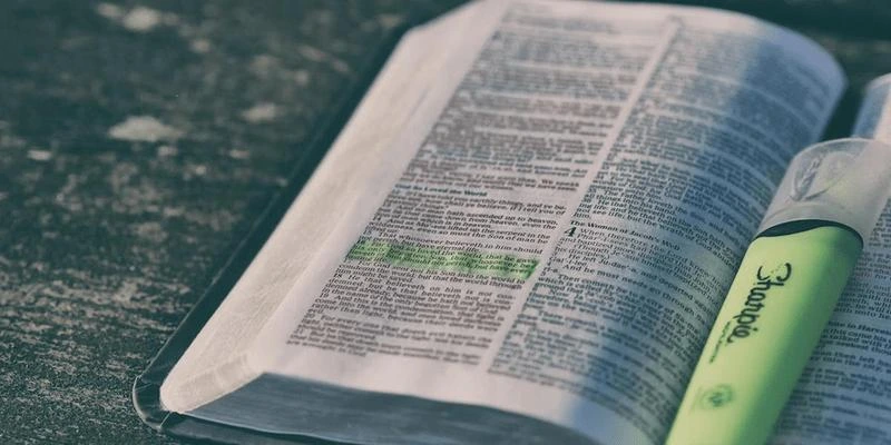 Mémoire de BTS Diététique : Méthodologie et Exemple PDF